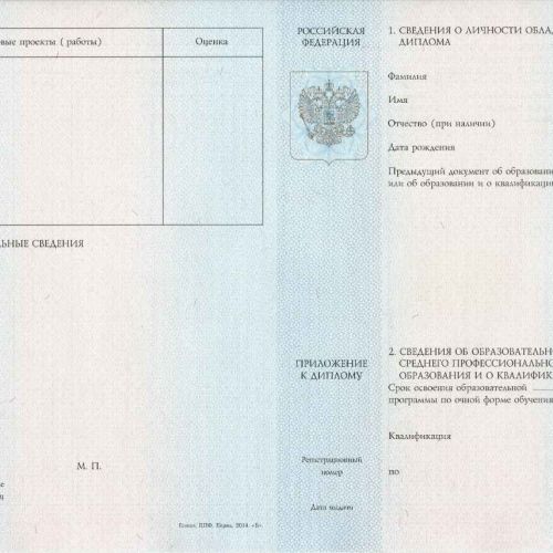 Диплом колледжа/техникума 2014-2025