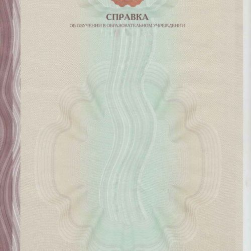 Академ справка ВУЗ от 2015 до 2025