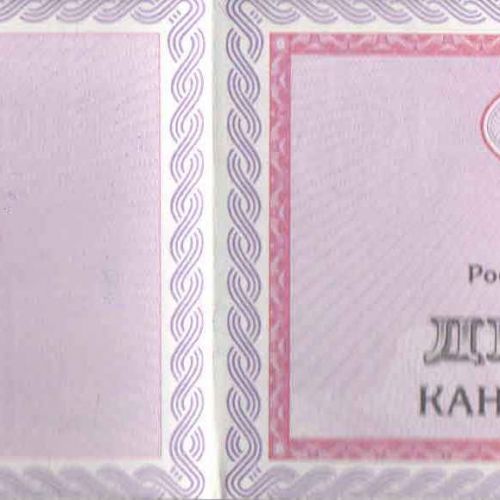 Диплом кандидата наук 2006-2012